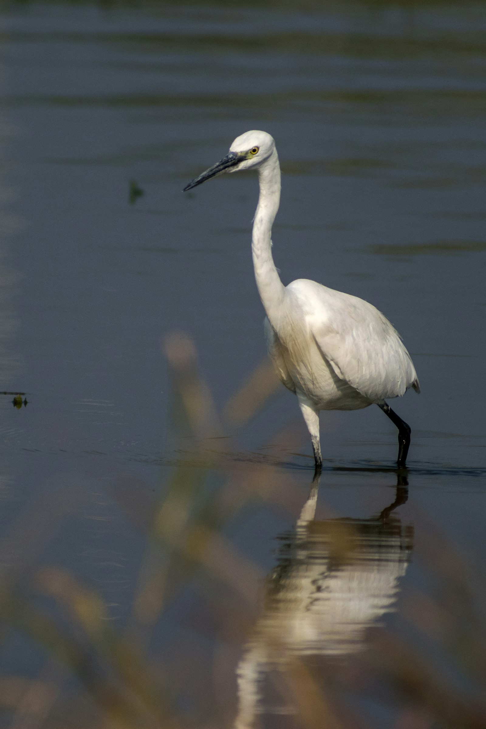 Stone Harbor — featured view